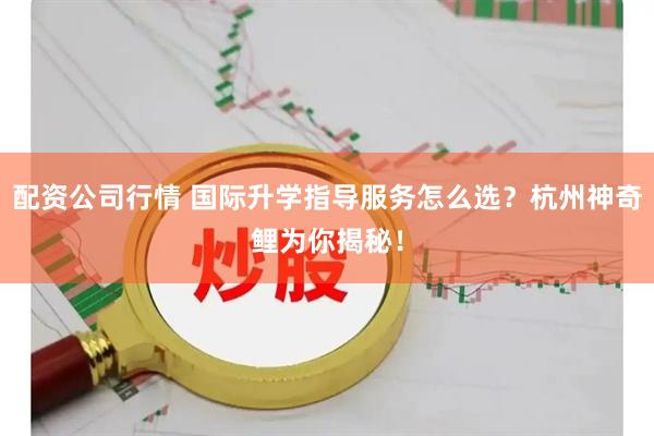 配资公司行情 国际升学指导服务怎么选？杭州神奇鲤为你揭秘！